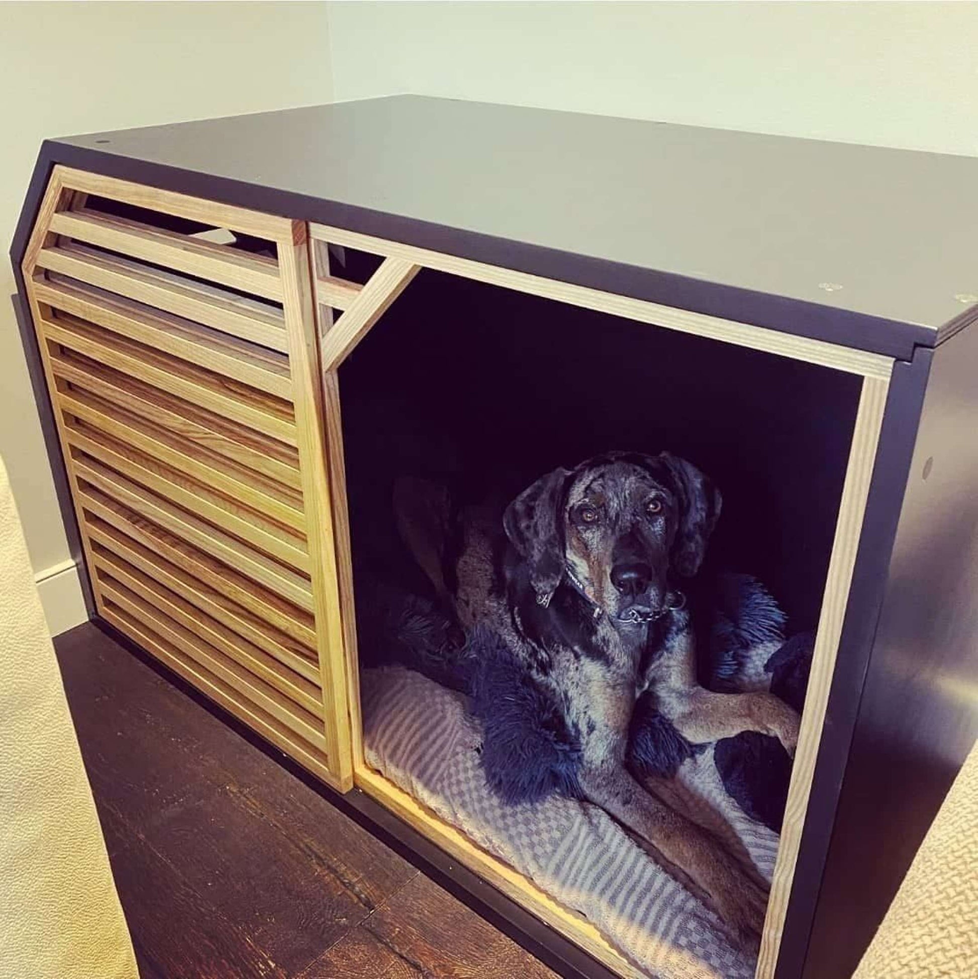 Amazing Black Dog House with Slide Door - Comfortable Pet Shelter - Image 3