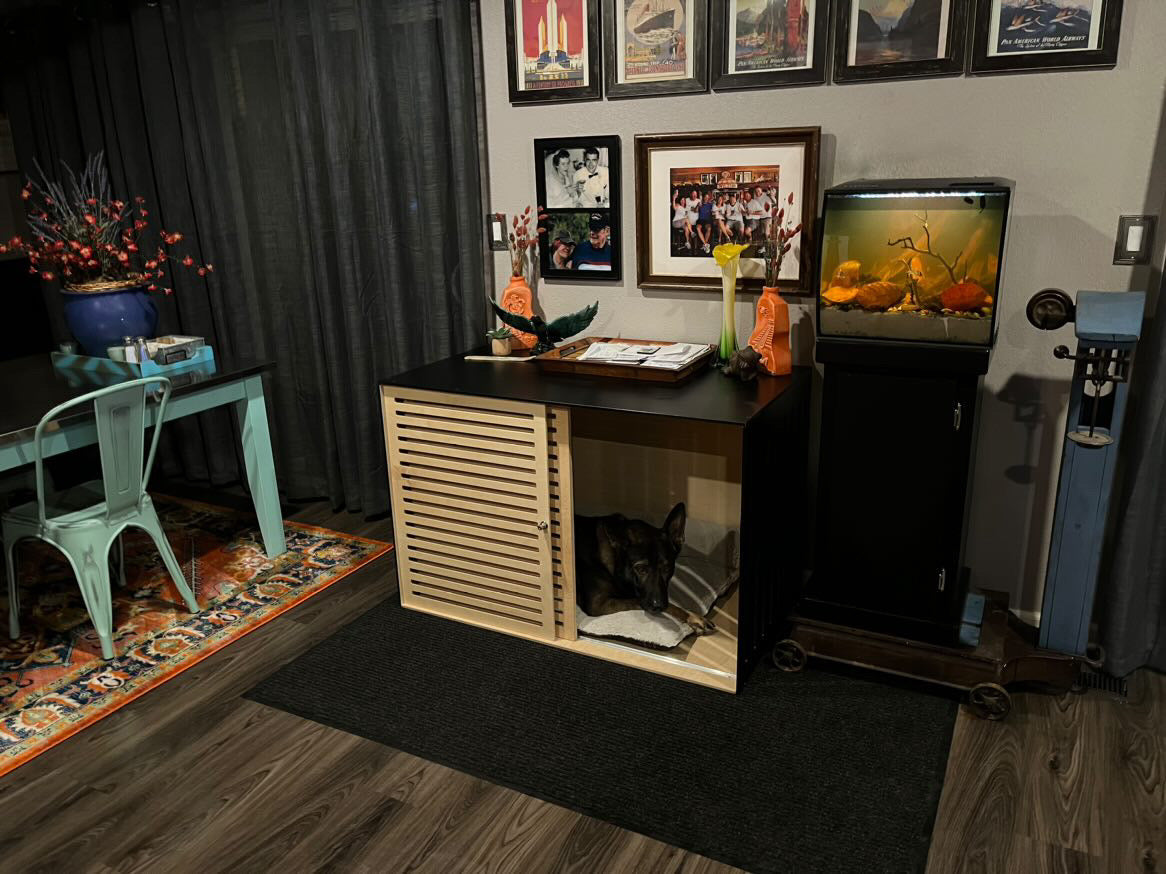 Modern Black Dog Cage - Cozy Home for Your Pup with Sliding Door - Image 3