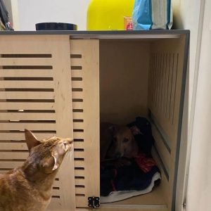 Dog house, Stylish cabinet home for a dog handmade - WoW WooD