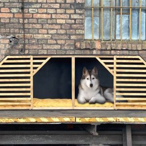 Durable Dual Dog Kennel - Unique Design for Two Pets in Black