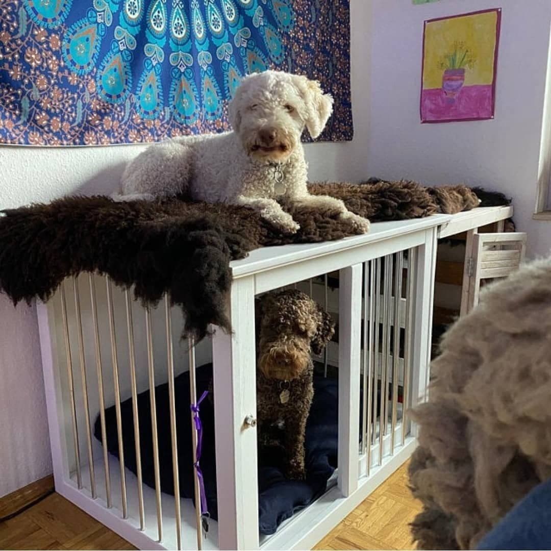 Custom Dog Crate - Image 3